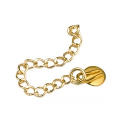 Gancho de Extrusión Oro 1u*